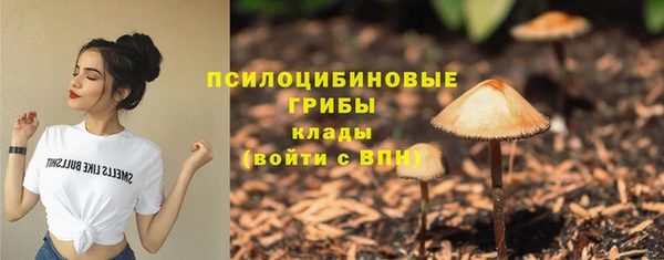 трава Армянск