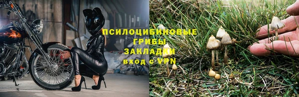 круглые Арсеньев